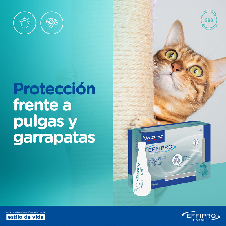 Effipro Pipetas Antiparasitarias para gatos, , large image number null